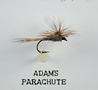 Adams-Parachute.jpg