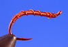 Red-worm.jpg
