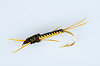 Matarelli-golden-stonefly-nymph.jpg