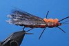 Salmon-Fly3.jpg