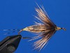 Mottled-Brown-Featherback.jpg