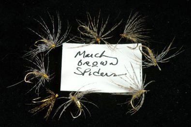 marchbrown-spider.jpg
