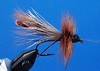 Salmon-Fly.jpg