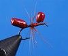 Red-Balsa-Ant.jpg