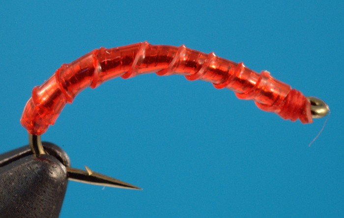 Red-worm.jpg